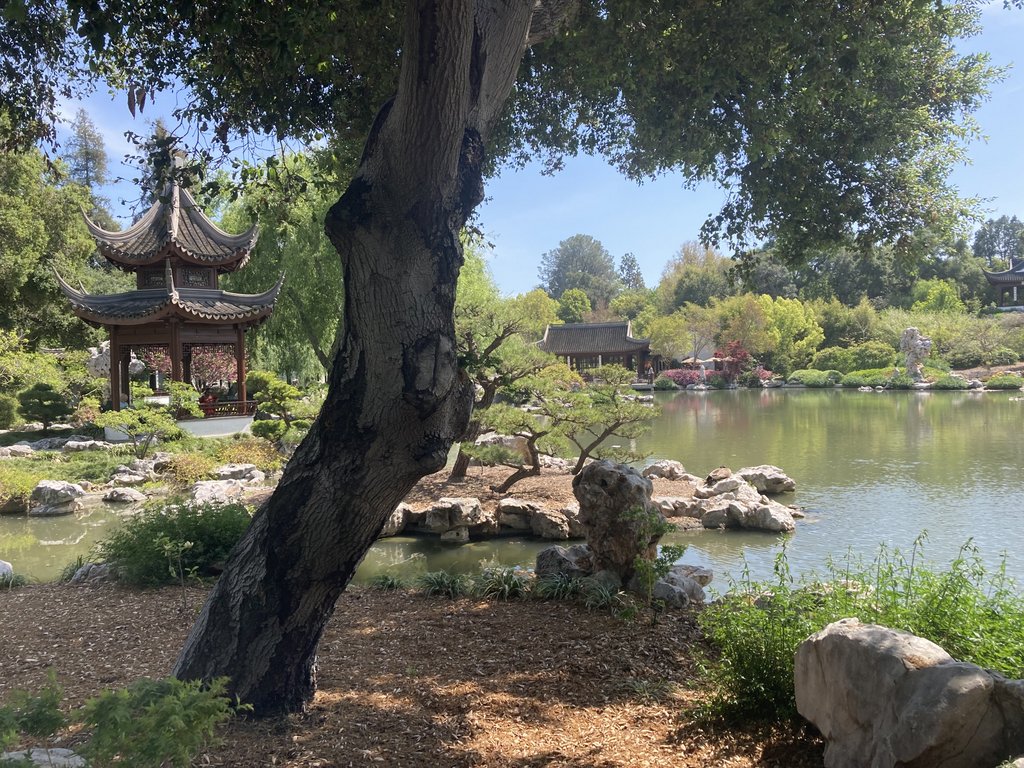 Huntington Chinese garden